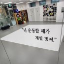 국제킥복싱 | 세종 새롬동 무에타이. 킥복싱 배우기 좋은 곳/다이어트 효과까지!~FG 파이터스 아레나 킥복싱 체육관...