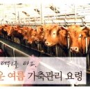 대산가축 이미지