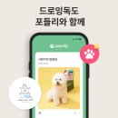 드로잉독 이미지