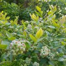 원 농장 이미지