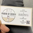 주방에 온 댕댕이 이미지