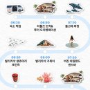 [필리핀 보홀여행 체험 패키지 후기] 오라보라, 로컬페이지 원데이트립