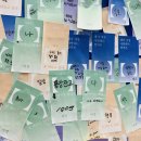 책 구경 하실래요?_늦은 국제도서전 후기 (ft. 2026 서울국제도서전_shall we~? 请~?)