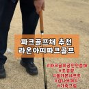 라온아띠 | 파크골프채 추천 라온아띠파크골프채 부모님사용후기(비거리 상승)