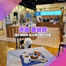 [제주도 실내 애견동반_폴비앙] &#34;어? 야외 같은데 강아지는 못 돌아다니는 이유?&#34;