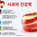 사과의 효능 아침에 먹는 사과는 금 저녁에 먹는 사과도 독이 아닌 배변기능에 도움된다. 이미지