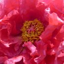 가람농원 이미지