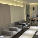 새싹 동물병원 | 송파탈모 병원 후기 가르마 앞머리 탈모 치료 후기