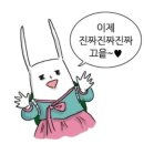 그물에걸린바다풍경 이미지