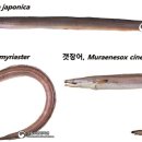 바다수산유통 이미지