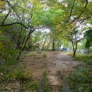대동장(大同莊) | 북악산과 인왕산 그늘에 깃든 서촌의 숨겨진 명소 ~ 청송당터, 백운동천, 백운동계곡 (경기상고 본관 및...