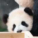 치킨패밀리 이미지