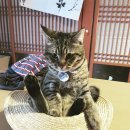 유유자적 이미지