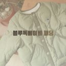 G1390 | 블루독베이비 패딩 돌아기 겨울옷으로 제격