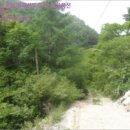 가사1교 - 정선군 | 가사1교