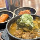 본말감자탕 신정네거리역점 | 본말감자탕 신정네거리역 앞 혼밥하기 좋은 곳 | 신정동 감자탕 추천