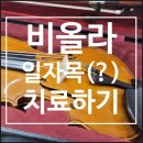 안스트링 이미지