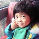 싸파리 이미지