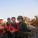 호수공원소나무숲길 이미지