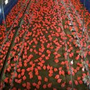 그린축산2 이미지