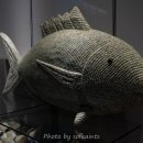 땅끝해양자연사박물관 이미지