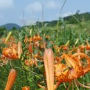 (주)자양 이미지