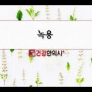 온중한의원 네이버블로그