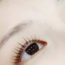 노원속눈썹펌 손상 없는 노글루펌 뷰티앤리 후기