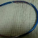 HJM Daum카페