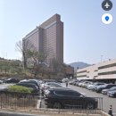 드림카서비스 | 더라이브러리 망고빙수 가격 및 클럽샌드위치 팟타이 파스타 식사 후기 [주차 / 메뉴 / 셔틀 / 서비스차량]