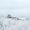 ♧. 눈앞에 보이는 현실을 보고 일희일비해서는 안 됩니다. 이미지