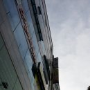 펄스젬생명공학 이미지