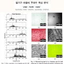 박채용 | 캡스톤디자인 경진대회 후기 1. 캡스톤 개요 및 고려했던 주제들