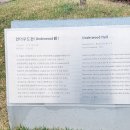 연세대학교 이미지