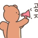 마스터 홍 태권도 이미지