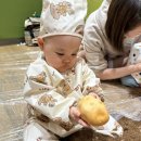 오감톡톡 인지톡톡 싱글벙글(8~13개월) | 이마트 문화센터 수강 1년 후기 / 트니트니