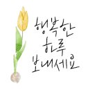 봉선e편한공인중개사사무소 이미지