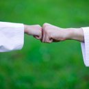 올바른 태권도 이미지