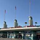 아메리칸핫도그앤커피 | 동부 여행 (5) - 올랜도 디즈니월드 헐리우드 스튜디오, 로지스 올아메리칸 카페, 간식, 레이징케인즈 후기