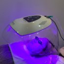 제3회 부산진구 합창제 | [서면여드름관리] 전포 에스떼 바이포미에서 받고 온 여드름 케어 후기