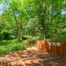 양천근린공원 이미지