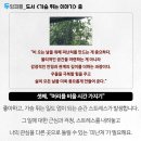 (흑백 식당정보) 안성재 쉐프의 성공 비결 이미지