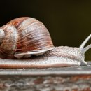 자연의선물 이미지