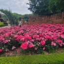 제7호 근린공원 이미지