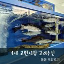 거제고현시장 회포장 맛집 고려수산 돌돔 포장후기