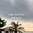 제주 자고가 이미지