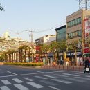 천일약국 이미지