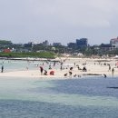 조천초등학교 병설유치원 이미지