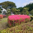 석암농장 이미지