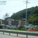 정라5통 이미지